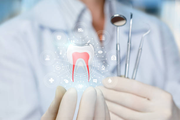 Best General Dentistry  in Meadow Glade, WA